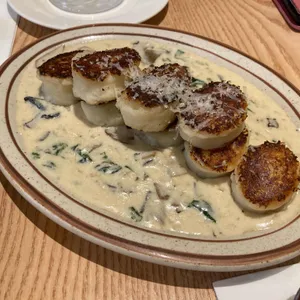 사비아 리뷰 사진