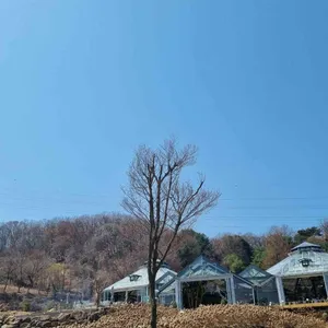 비루개 리뷰 사진
