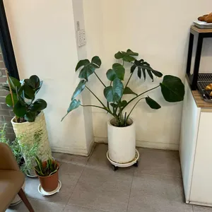 빵집 밀꽃 리뷰 사진