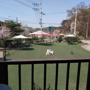 안나의정원 리뷰 사진