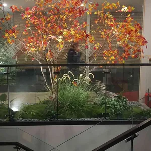 우설화 리뷰 사진