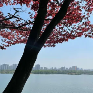 초대 카페테리아 리뷰 사진