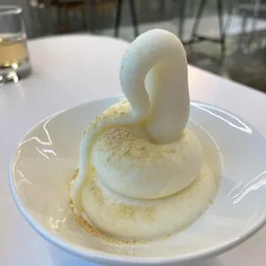 새삶스레 사진