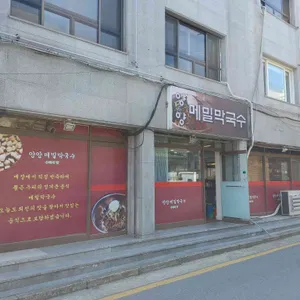 양양메밀막국수 리뷰 사진
