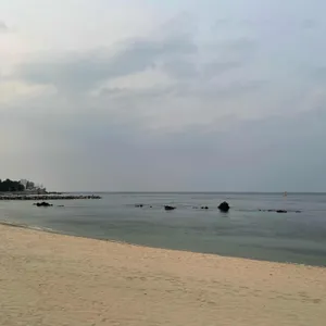 투썸플레이스 리뷰 사진