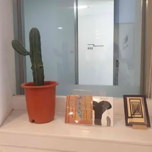 카페 세마 리뷰 사진