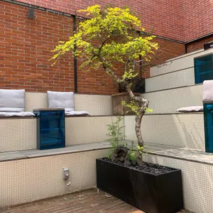 낫배드커피 리뷰 사진