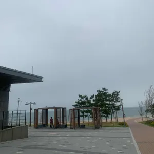 파스쿠찌 리뷰 사진