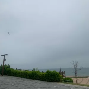 파스쿠찌 리뷰 사진