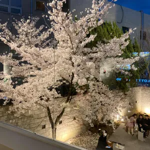 아킨니 대표 사진