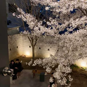 아킨니 리뷰 사진