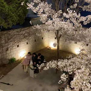 아킨니 리뷰 사진