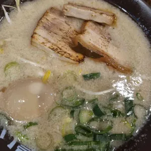 코이라멘 사진