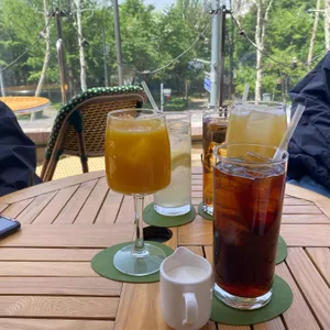 몽가 사진