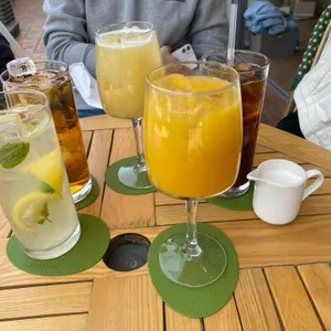 몽가 사진