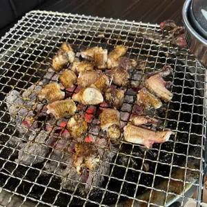 남해 사진