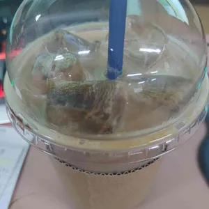 더치앤빈 사진