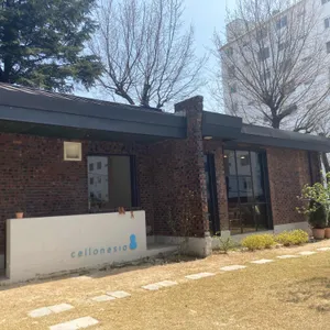 첼로네시아 사진
