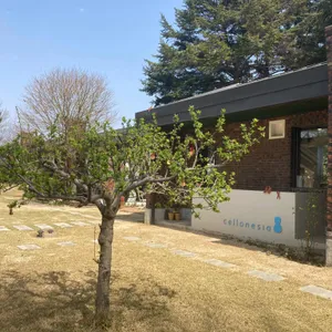 첼로네시아 사진