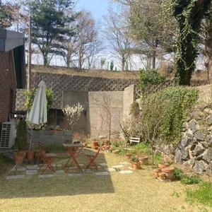 첼로네시아 사진
