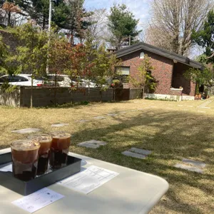 첼로네시아 사진