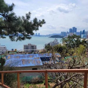 솔마루 리뷰 사진
