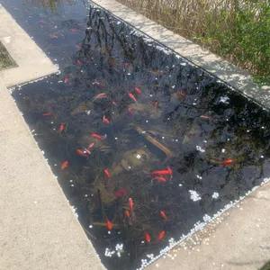 매화마름 리뷰 사진