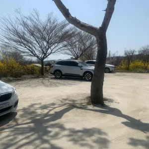 매화마름 리뷰 사진