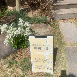 매화마름 리뷰 사진