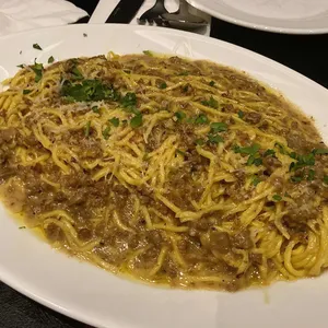 디슬로우 사진