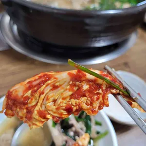 참오리 사진