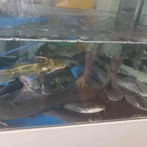 어부집 리뷰 사진