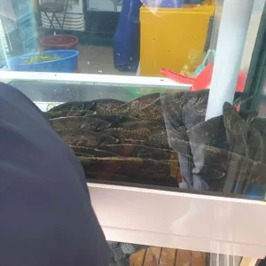 어부집 리뷰 사진