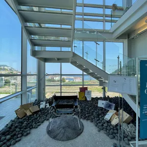 거제도외포멸치 리뷰 사진