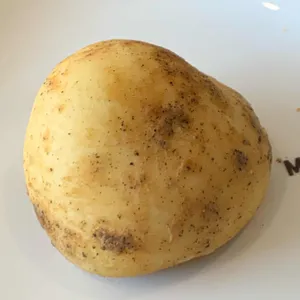 메가커피 사진