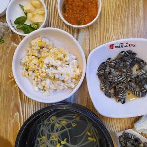 미스터오징어 사진