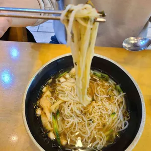 국수나무 사진