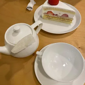 스노브 사진