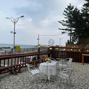 배나들 리뷰 사진