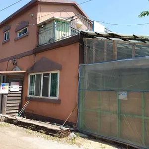 포도밭 대저할매국수 리뷰 사진
