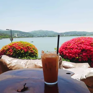 페이지나인 리뷰 사진