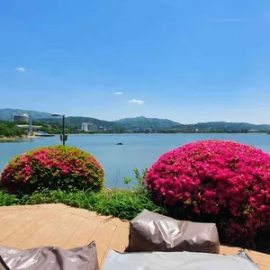 페이지나인 리뷰 사진