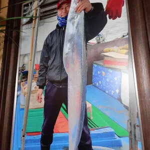 성산일출봉 해송 갈치전문 리뷰 사진