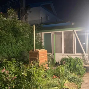 소설 리뷰 사진