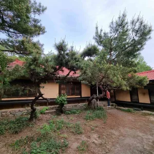 산촌 리뷰 사진