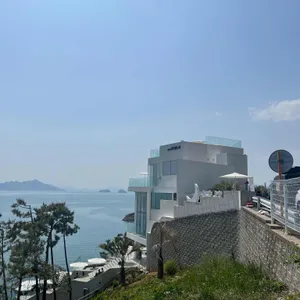 네르하21 리뷰 사진