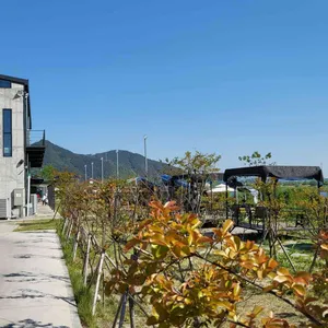 엔엘리오 리뷰 사진