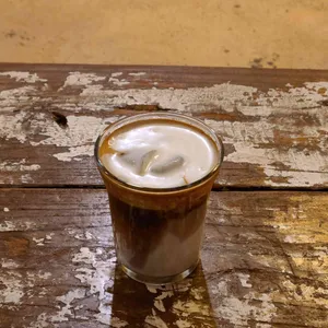 카멜 사진