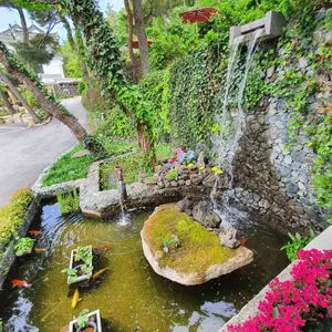 베르츠 율리 리뷰 사진