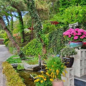 베르츠 율리 리뷰 사진